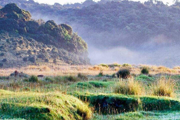 Horton Plains Park & Worlds End Guided Trekking From Nuwara Eliya