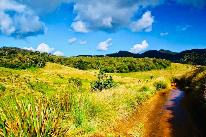 Horton Plains Park & Worlds End Guided Trekking From Nuwara Eliya