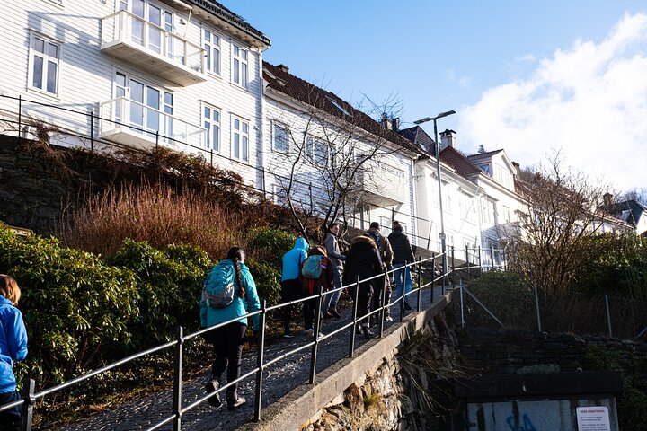 Walking Tour in Bergen of the Past and Present