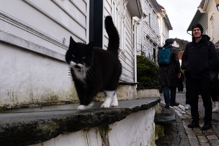 Walking Tour in Bergen of the Past and Present