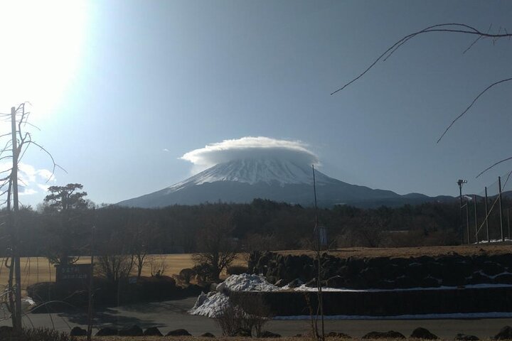 Exploring Mt Fuji Ice Cave and Sea of Trees Forest