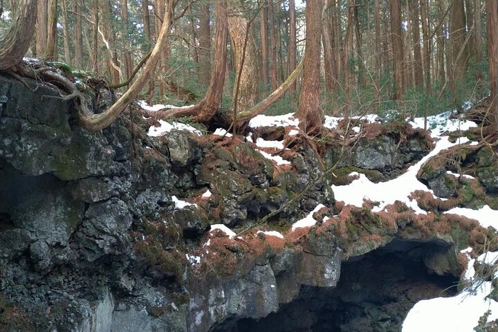 Exploring Mt Fuji Ice Cave and Sea of Trees Forest