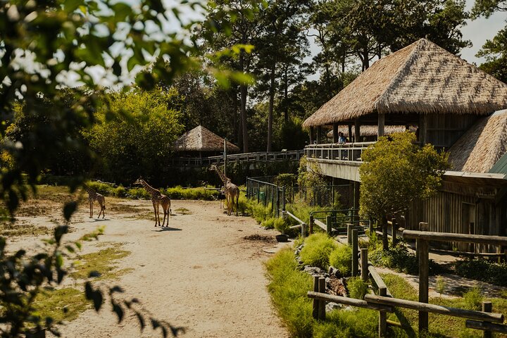 Norfolk's Combo Tickets - Virginia Zoo & Battleship Wisconsin
