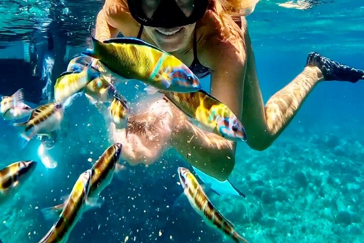 Tropea. Your Private Luxury Boat Tour. Max 10 Guests. TOP!
