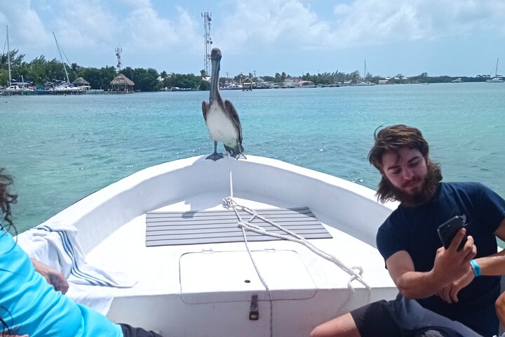 Full-Day Snorkel at Hol Chan, Shark Ray & More; San Pedro Belize