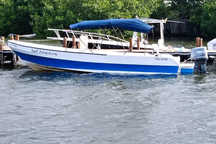 Full-Day Snorkel at Hol Chan, Shark Ray & More; San Pedro Belize