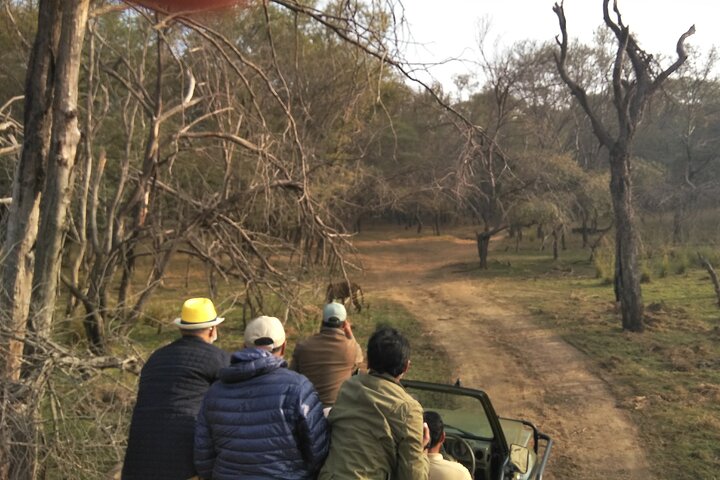 Ranthambore National Park