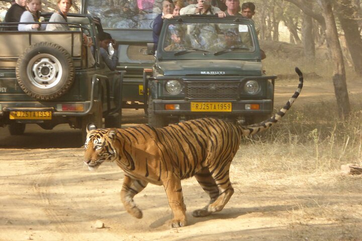 Ranthambore National Park