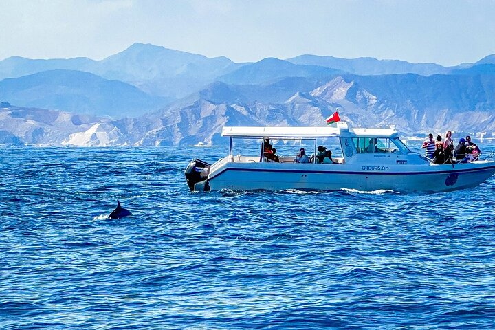2 Hour Dolphin Watching Experience in Muscat