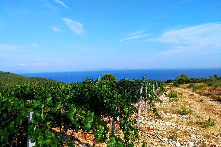 Korcula Buggy (Official) Safari Tour - Local Food & Wine Tasting