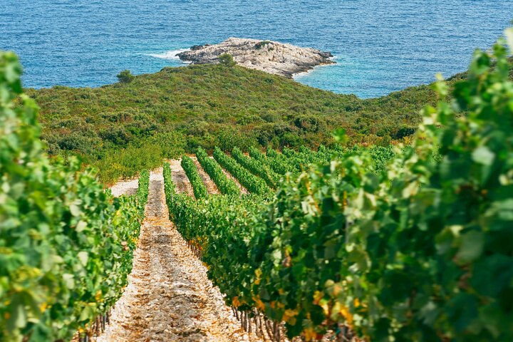 Korcula Buggy (Official) Safari Tour - Local Food & Wine Tasting