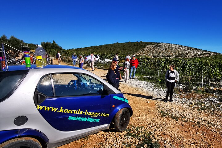 Korcula Buggy (Official) Safari Tour - Local Food & Wine Tasting