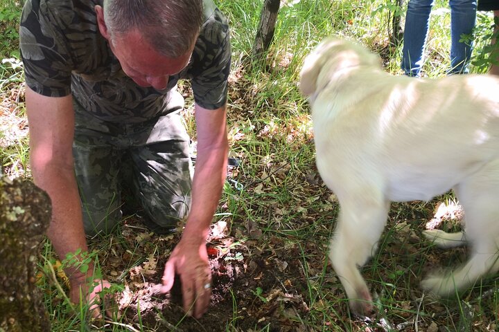 Istria - Truffles: Hunting & Cooking & Tasting, Slovenia