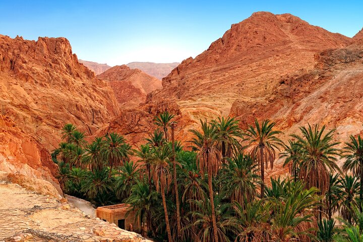 Tozeur Private Half-Day Tour: Tamerza, Chebika and Mides Canyons