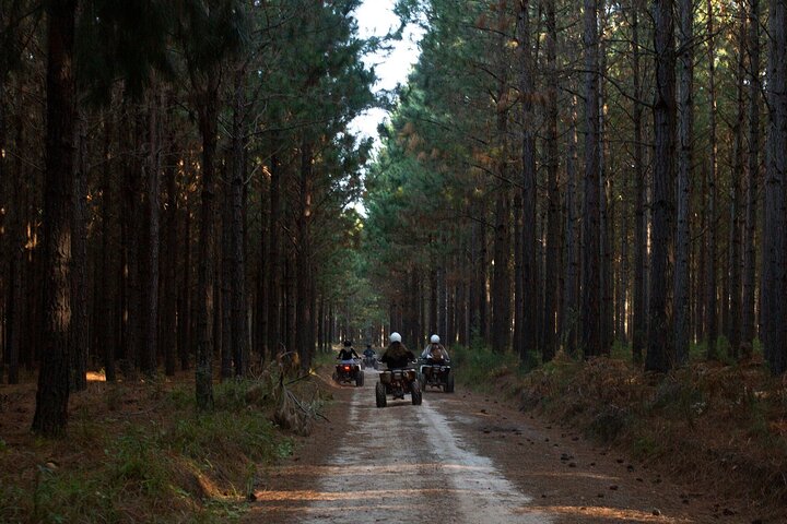 Most Exciting Adventurous Activities and the Only Quadbike Tours in Tsitsikamma