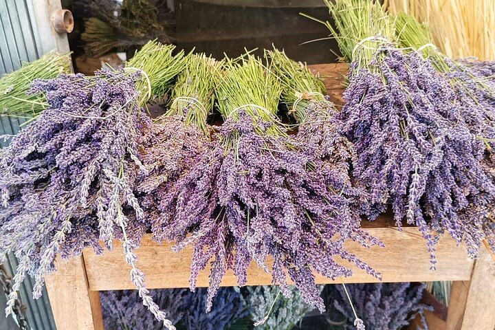 Private Tour Perched Villages of Luberon & (LAVENDER JUNE/JULY)