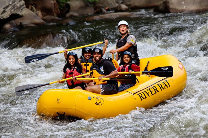 Upper Pigeon Rafting Adventure