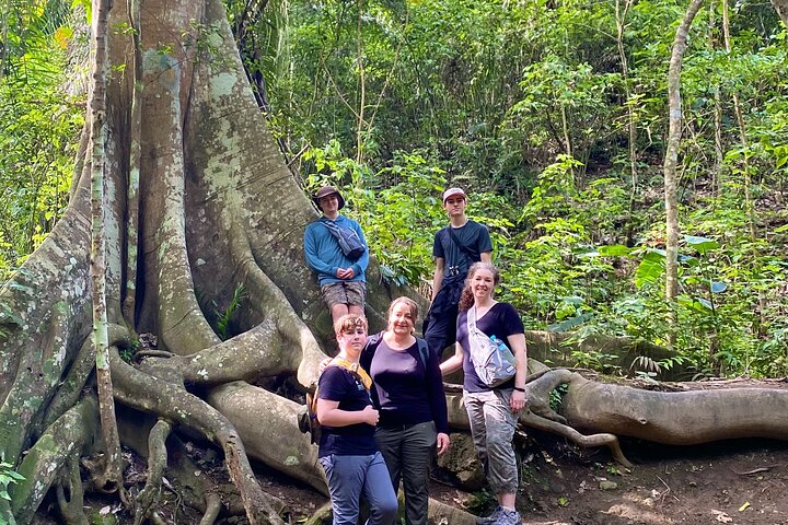Rainforest Wildlife, Panama Hat makers, Traditional Cuisine. SHORE TOUR