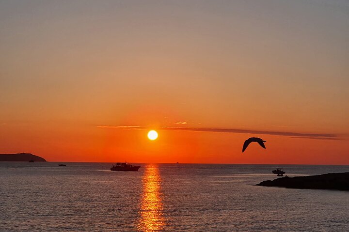 Secrets of Ibiza - Car tour in 4 hours