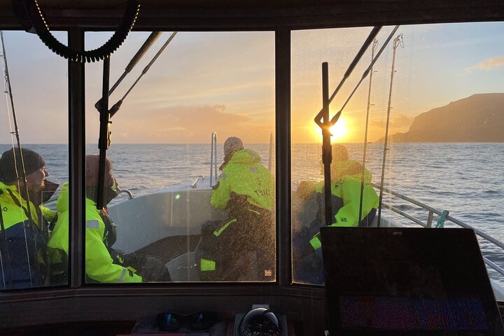 Sightseeing Around Nólsoy to see Puffins