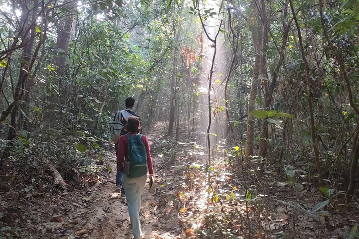 Full Day Sreemangal Tea Garden & National Park Hiking Tour