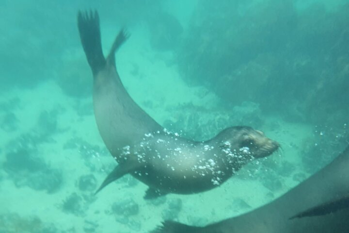 Galapagos Enchanting 3 Islands (5 Days)