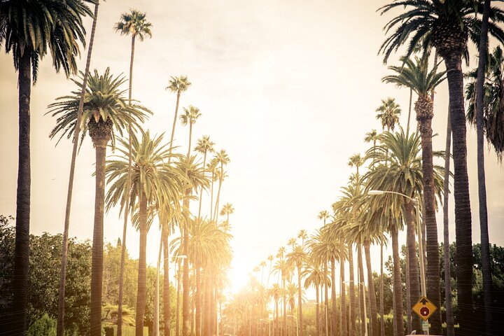 Private Tour of Los Angeles in a Luxury Vehicle
