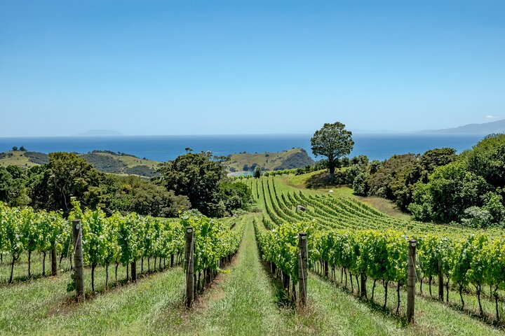 5-Hour Scenic Wine Tour with Private Guide & Up to 12 Tastings