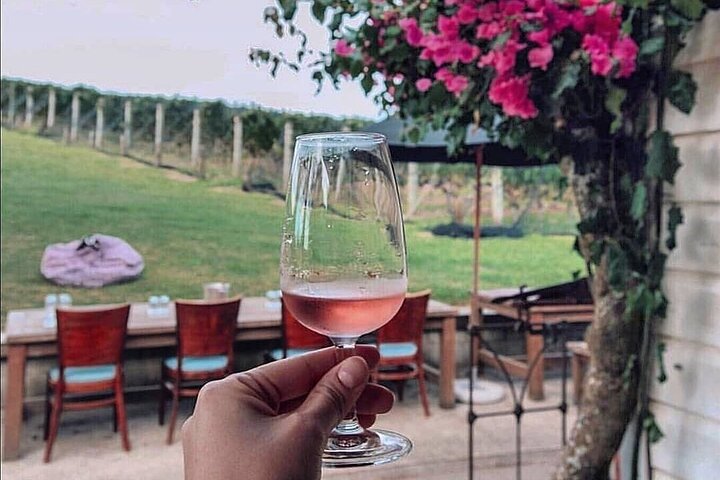 5-Hour Scenic Wine Tour with Private Guide & Up to 12 Tastings