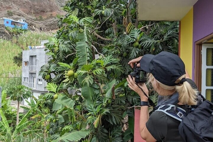 Discover the highlights of Santo Antão from Mindelo