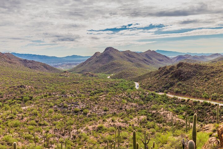 Saguaro National Park Self-Guided Audio Tour