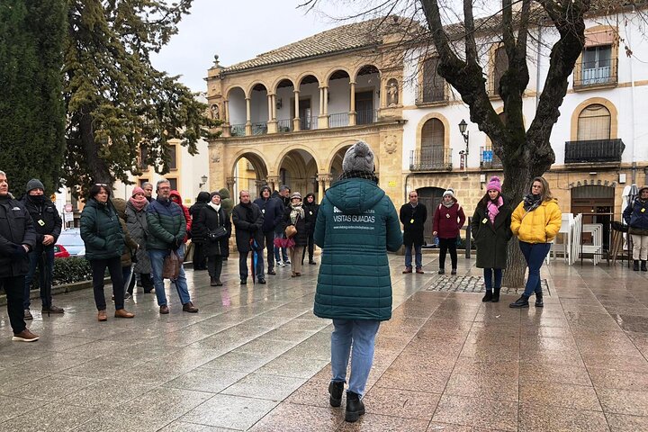 Ubeda and Baeza. South Renaissance (Tickets included)