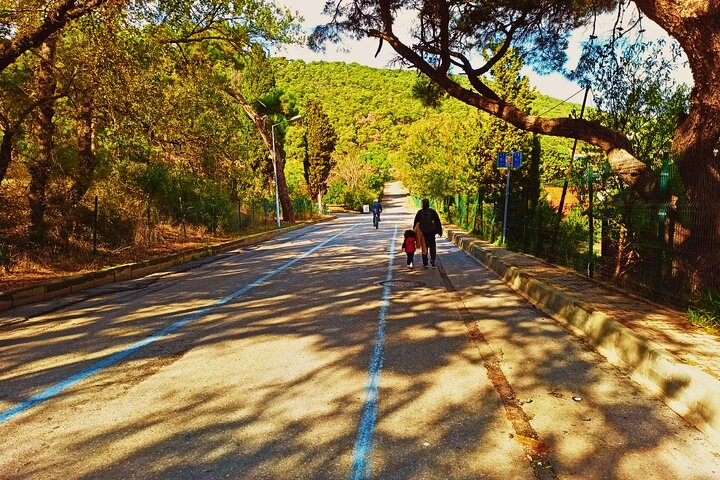Princes' Islands ( Büyükada ) E-bike Tour