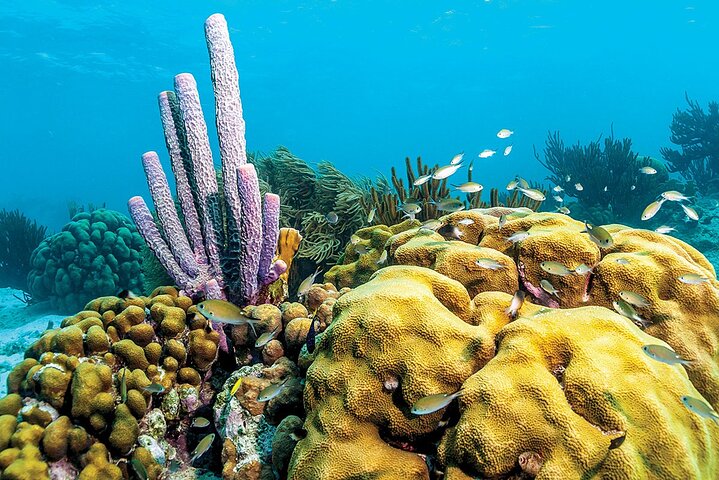 Marine Park - Private Boat charter with LOCAL Captain/ Guide