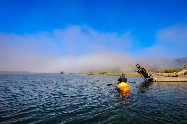 Russian River Kayak Tour at the Beautiful Sonoma Coast
