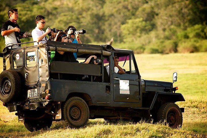 Yala National Park Safari - Private Tour