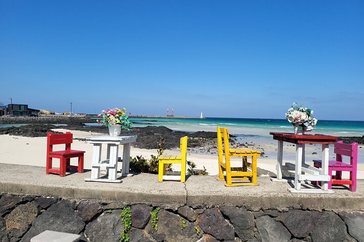 Private Tour in South and East in jeju island