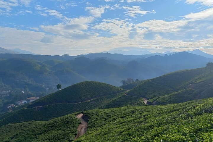 Full day in hiking in Munnar (By Munnar Info)