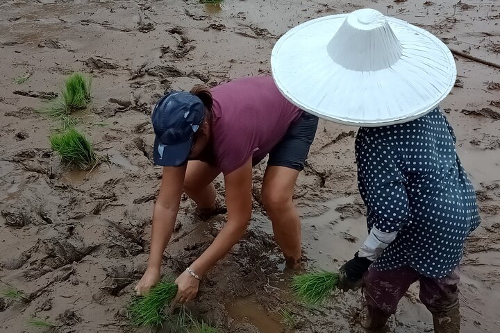 Private Multiday Tour in Minangkabau with accommodation 4 days