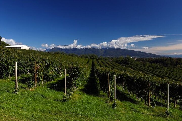 Prosecco Wine Tour with Sommelier – Pick-up from Treviso
