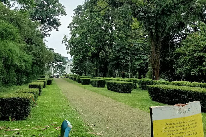 Jakarta Bogor Botanical Garden, Waterfall and Rice terrace, Lunch