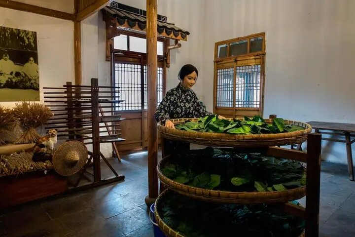 Suzhou Private Day Trip from Shanghai with Bullet Train Option