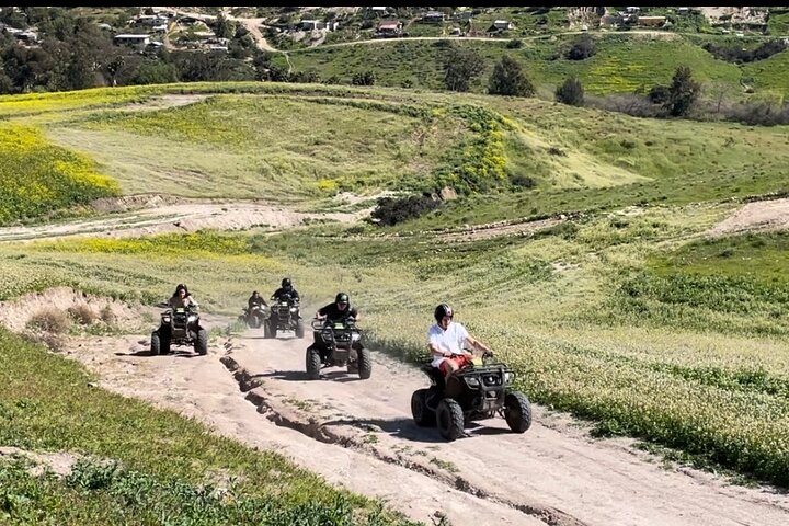 Rosarito/Paintball/Mountain Horses + Transportation