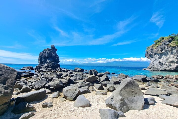 Apo Island Day Tour from Dumaguete with Lunch & Transfer