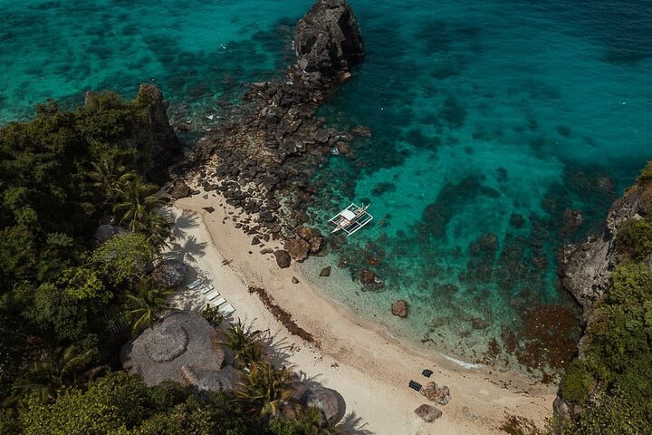 Apo Island Day Tour from Dumaguete with Lunch & Transfer