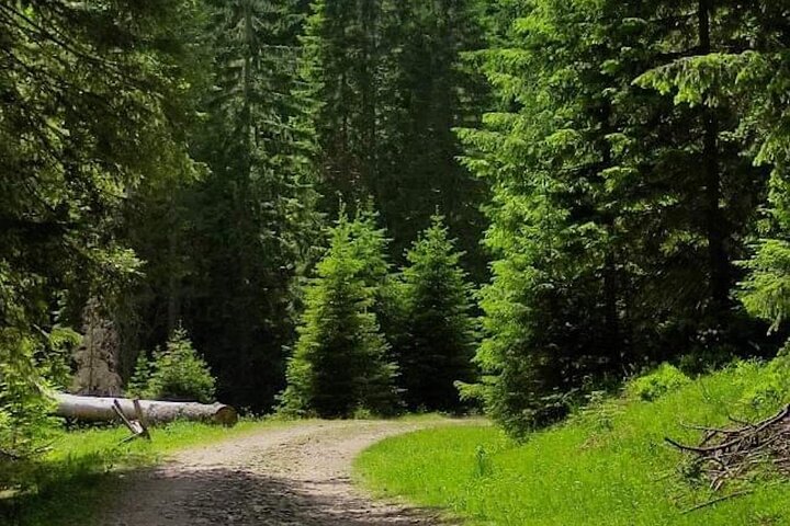 Durmitor National Park hiking tour - easy to moderate