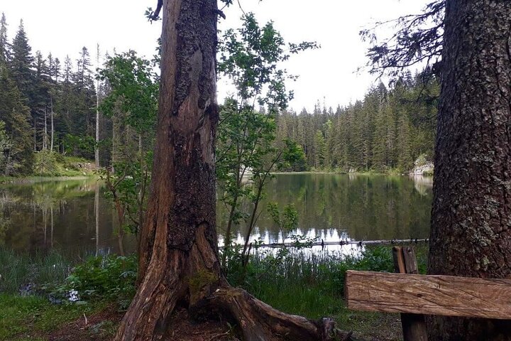 Durmitor National Park hiking tour - easy to moderate