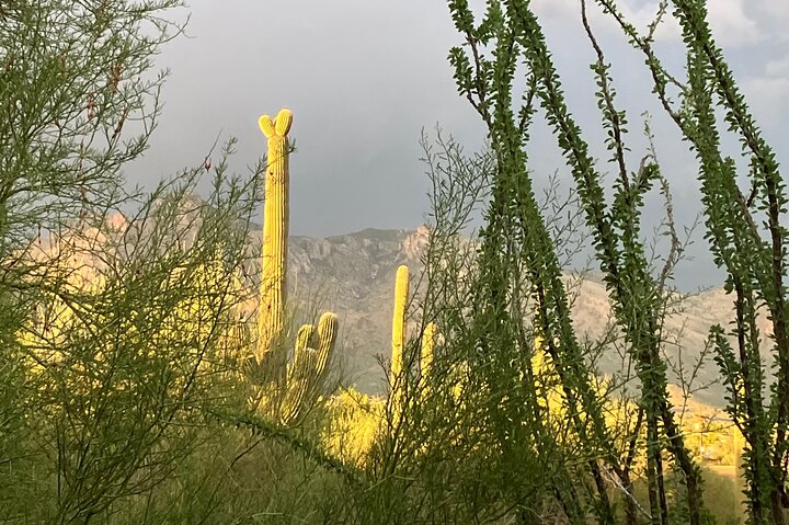 Tombstone & San Xavier, How the West was Won!