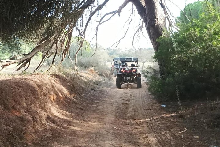 Albufeira 1.5 hour Off-Road Tour Buggy Adventure Tour