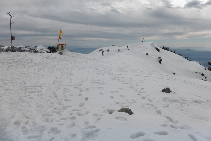 Hiking Day Tour to Triund from Dharamshala